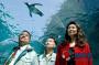 《旭山动物园物语：空中飞翔的企鹅》海报