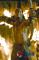 《蝎子王Ⅱ：勇士的崛起》海报