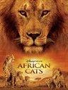非洲猫科：勇气国度剧情介绍