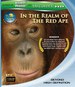 狂野亚洲：赤猿的领地剧情介绍