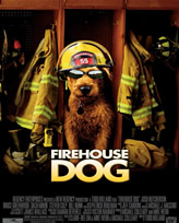 消防犬