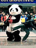 爱，在四川之熊猫篇