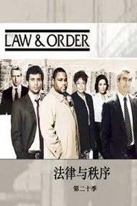 法律与秩序第二十季剧情介绍